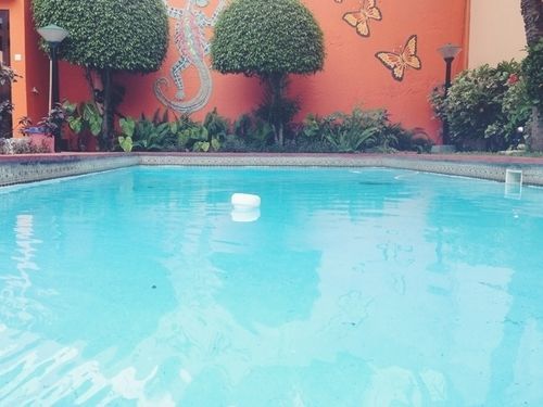 Moringa Guest House Maputo Exterior photo